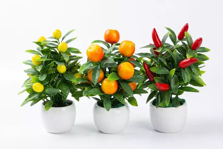 TEKOKUKKA HEDELMÄPUU SEMENTTIRUUKUSSA - Tekokukat ja -kasvit - 6438159393416 - 1