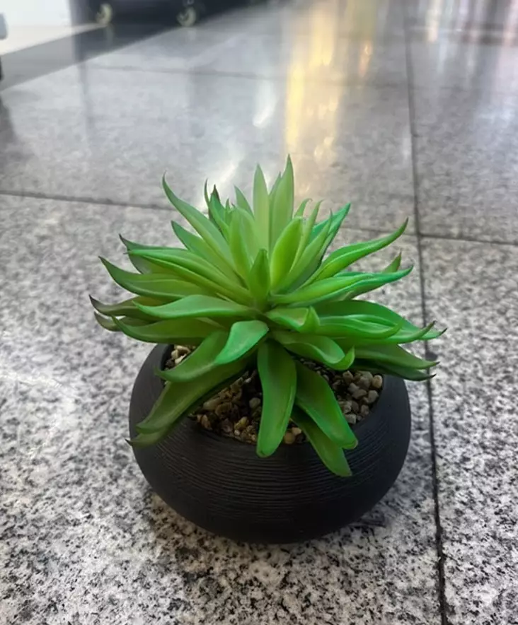 TEKOKUKKA VIHERKASVI MUSTASSA RUUKUSSA - Tekokukat ja -kasvit - 6438159393546 - 1