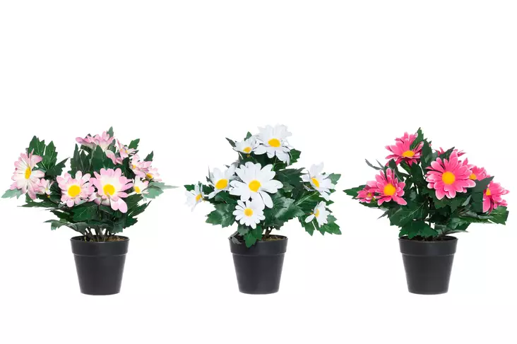 4Living Päivänkakkara ruukussa 30 cm lajitelma - Tekokukat ja -kasvit - 6410413130357 - 1