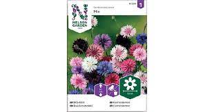 Kaunokki, Ruis-, väriseos - Kukkien siemenet - 7312600872967 - 1