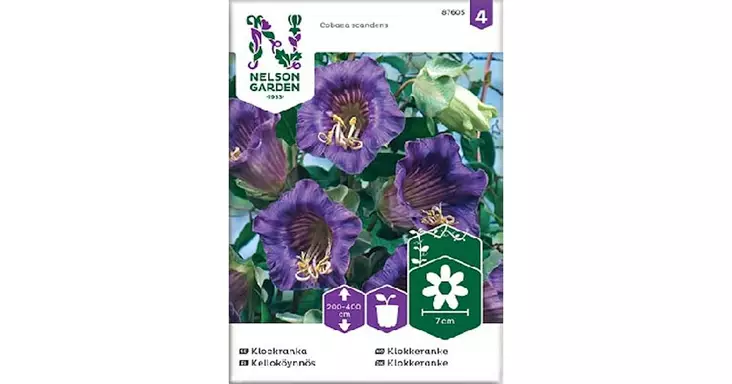 Kelloköynnös - Kukkien siemenet - 7312600876057 - 1