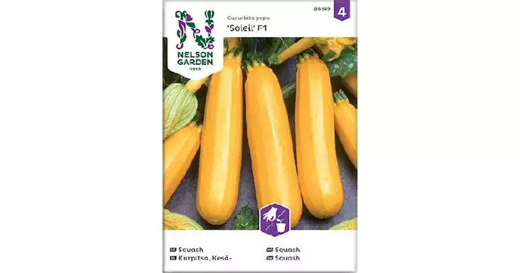 Kurpitsa, Kesä-, Soleil F1 - Vihannesten ja hedelmien siemenet - 7312600861497 - 1