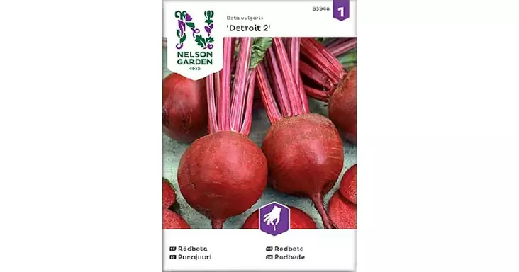 Punajuuri, Detroit 2 - Vihannesten ja hedelmien siemenet - 7312600859487 - 1