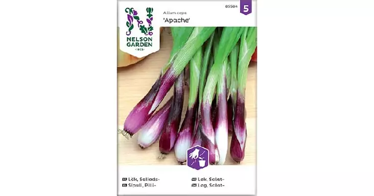 SIEMENPUSSI PILLISIPULI APACHE - Siemenperunat ja juurekset - 7312600855847 - 1