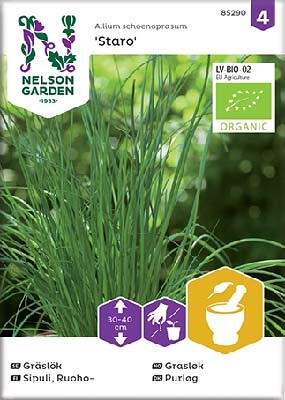 Sipuli, Ruoho-, Tavallin. Staro, Organic - Yrttien siemenet - 7312600852907 - 1