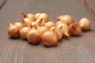 Stuttgarter istukassipuli - Vihannesten ja hedelmien siemenet - 8713793000387 - 1