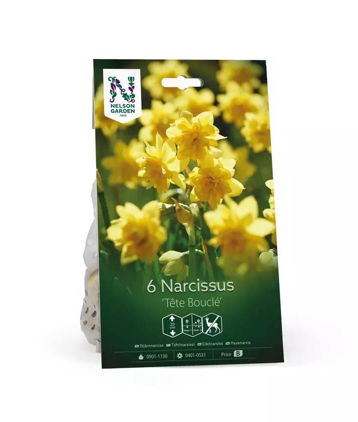Syyssipuli Tähtinarsissi, 'Tête Bouclé'7,50 - Siemenet ja sipulit - 7312603021317 - 1