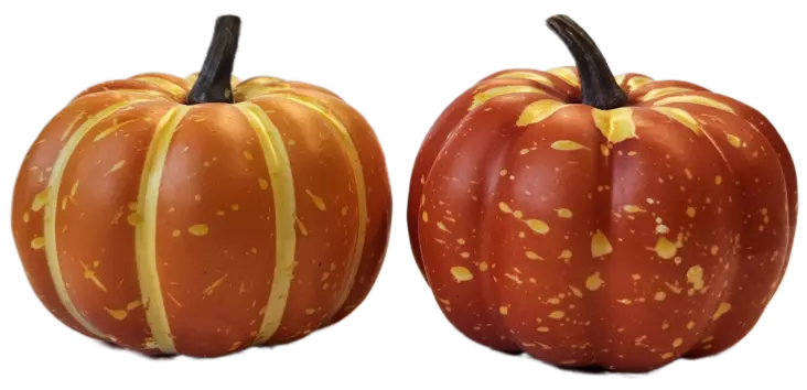 TEKOKASVI KURPITSA 8 cm - Tekokukat ja -kasvit - 6438159394277 - 1