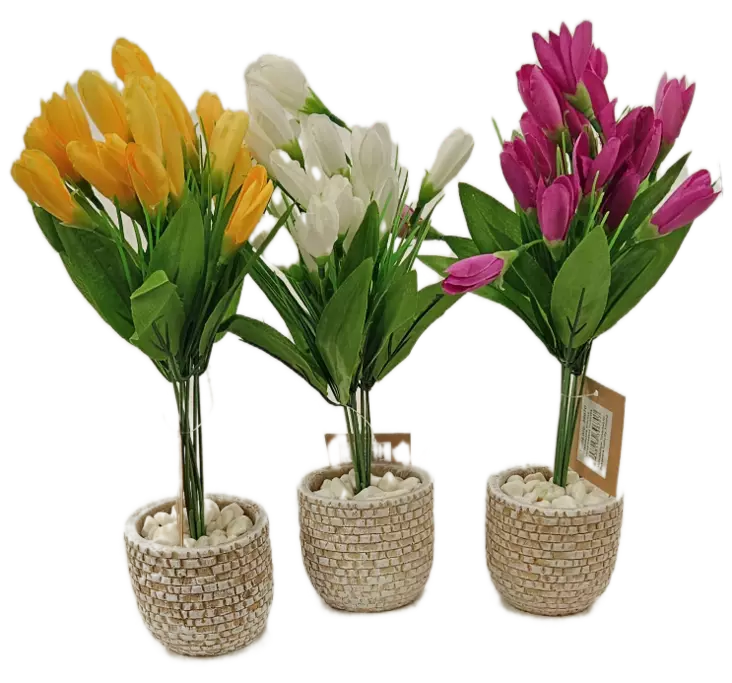 TEKOKUKKA KROOKUS RUUKUSSA - Tekokukat ja -kasvit - 6438159396707 - 1