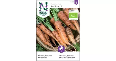 Porkkana, Berlicum 2, Organic - Vihannesten ja hedelmien siemenet - 7312600856608 - 1