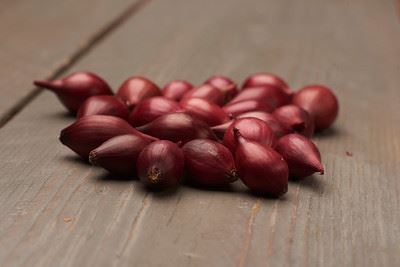 Red Baron istukassipuli - Vihannesten ja hedelmien siemenet - 8713793001148 - 1