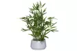 4Living Bambu ruukussa - Tekokukat ja -kasvit - 6410416319858 - 1