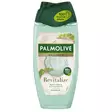 PALMOLIVE SG 250ML WELLNESS REVITALIZE - Naisten saippuat ja suihkugeelit - 8718951430198 - 1