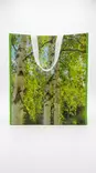 KAUPPAKASSI NON WOWEN 39X44X20 CM - Reput ja kassit - 6438159246248 - 4
