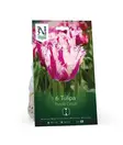 Syyssipuli Ripsureunainen tulppaani, 'Purple Circus7,50 - Siemenet ja sipulit - 7312603021188 - 1