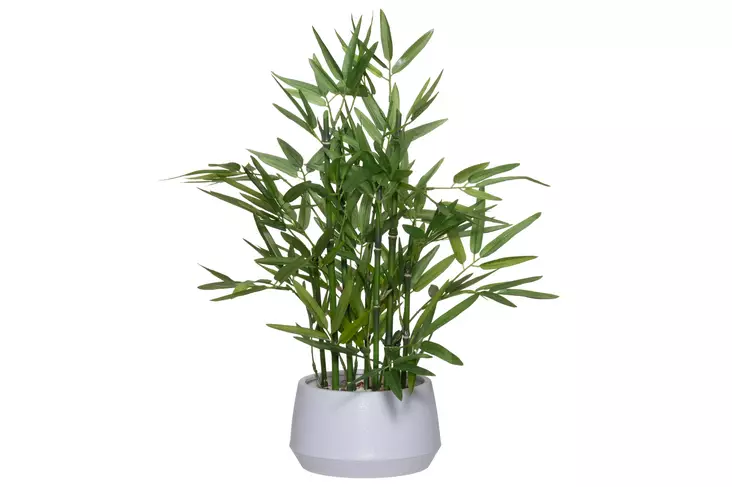 4Living Bambu ruukussa - Tekokukat ja -kasvit - 6410416319858 - 1