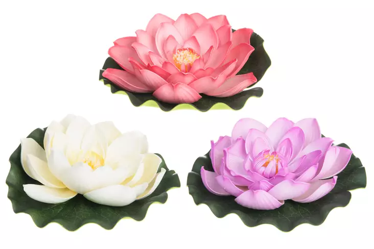 4Living Lotus Kukka kelluva 21 cm lajitelma - Tekokukat ja -kasvit - 6410413119628 - 1