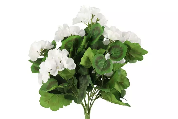 4Living Pelargonia kinppu valkoinen - Tekokukat ja -kasvit - 6410416529868 - 1