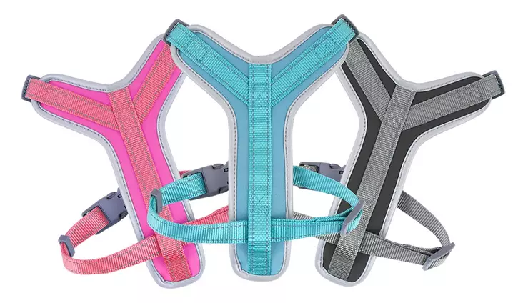 Best Friend #Pawsome koiran Y-valjas XS 0-5kg 50cm - Koiran valjaat - 5700551141928 - 1