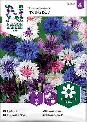 Kaunokki, Ruis-, Polka Dot - Kukkien siemenet - 7312600872998 - 1