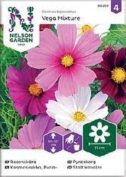Kosmoskukka, Puna-, Vega Mixture - Kukkien siemenet - 7312600882508 - 1
