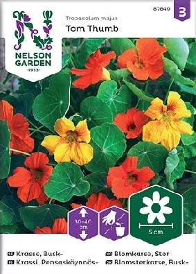 Krassi, Pensasköynnös-,TomThumb,väriseos - Kukkien siemenet - 7312600876408 - 1