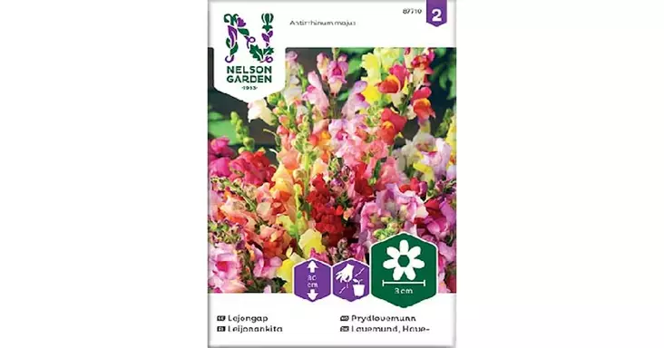 Leijonankita, seos - Kukkien siemenet - 7312600877108 - 1