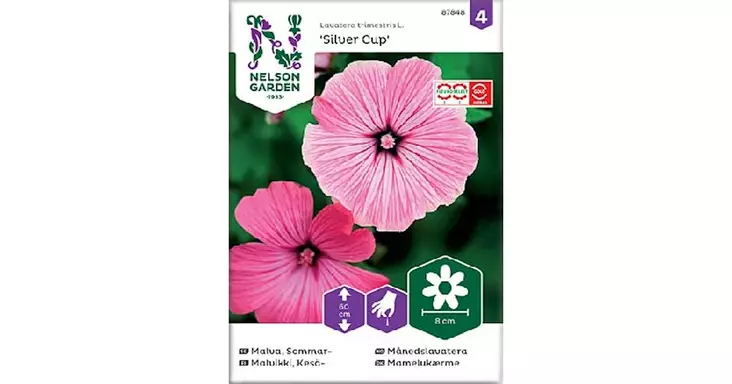 Malvikki, Kesä-, Silver Cup - Kukkien siemenet - 7312600878488 - 1