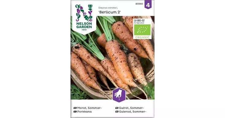 Porkkana, Berlicum 2, Organic - Vihannesten ja hedelmien siemenet - 7312600856608 - 1