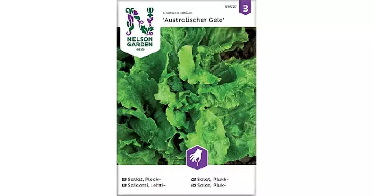Salaatti, Lehti-, Australialainen - Vihannesten ja hedelmien siemenet - 7312600860278 - 1