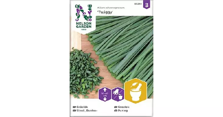 Sipuli, Ruoho-, Tavallinen, Twiggy - Vihannesten ja hedelmien siemenet - 7312600852938 - 1