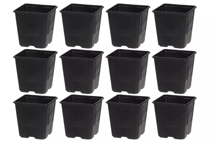 Taimiruukku 11 cm 12 kpl - Esikasvatustuotteet - 6410413281578 - 1