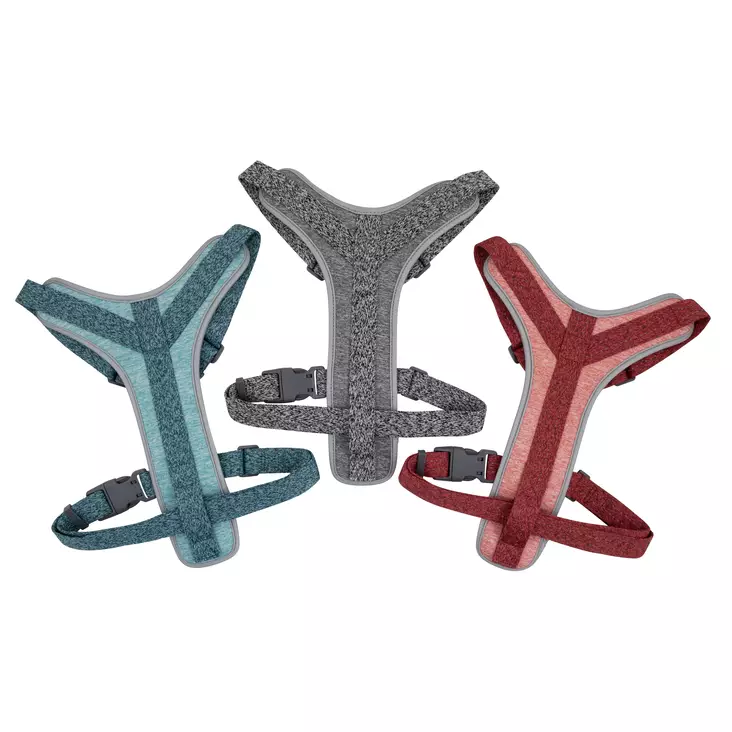 Daily Walker Y-valjas S 5-15kg - Koiran valjaat - 5700551142468 - 1