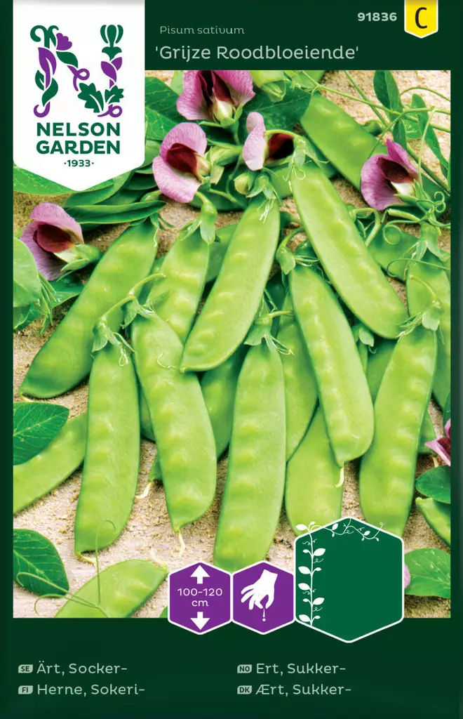 Herne, Sokeri-, Grijze Roodboeiende - Vihannesten ja hedelmien siemenet - 7312600864238 - 1