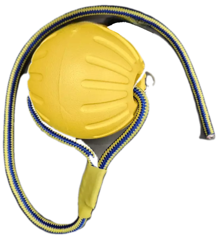 MOTIVAATIOPALLO NARULLA - Koiran lelut ja agility - 6438159894708 - 1