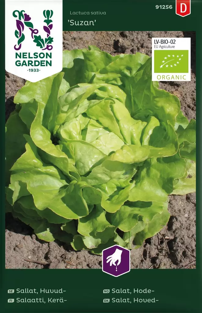 Salaatti, Kerä-, Suzan, Organic - Vihannesten ja hedelmien siemenet - 7312600859968 - 1