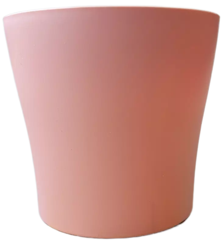 SUOJARUUKKU LIEGI 2 L candy rose - Kukkaruukut ja -amppelit - 3838851359698 - 1