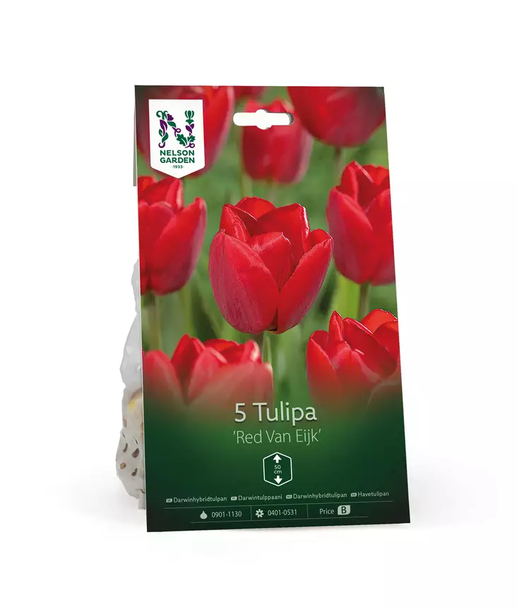 Syyssipuli Darwintulppaani, 'Red Van Eijk'7,50 - Siemenet ja sipulit - 7312603021218 - 1