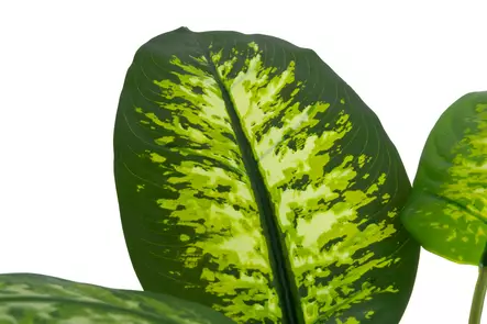 4Living Kirjovehka ruukussa 90 cm - Tekokukat ja -kasvit - 6410416435909 - 2