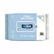 DEEP FRESH TOILET WET WIPES 48x42 KPL - Intiimikosteuspyyhkeet - 8681554617849 - 1