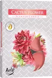 Tuoksulämpökynttilä Cactus Flower 6 kpl - Pöytäkynttilät ja tuoksukynttilät - 5906927032269 - 1