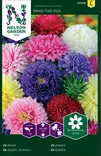 Asteri, Kiinan-, Semi-Tall, väriseos - Kukkien siemenet - 7312600870789 - 1