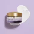 Loreal Paris päivävoide kuivalle iholle - Vartalonhoito - 3600524146689 - 4