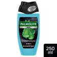 Palmolive Men Shower & Shave 4in1 suihkusaippua 250 ml - Miesten saippuat ja suihkugeelit - 8718951764309 - 1