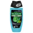 Palmolive Men Shower & Shave 4in1 suihkusaippua 250 ml - Miesten saippuat ja suihkugeelit - 8718951764309 - 3