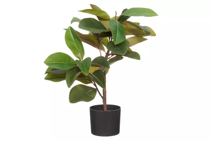 4Living Huonekumipuu ruukussa 62 cm - Tekokukat ja -kasvit - 6410416258249 - 1