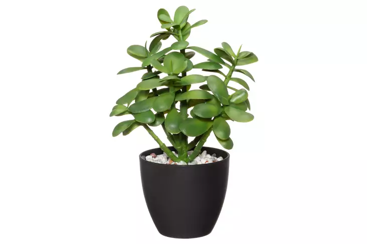 4Living Rahapuu ruukussa - Tekokukat ja -kasvit - 6410416437309 - 1