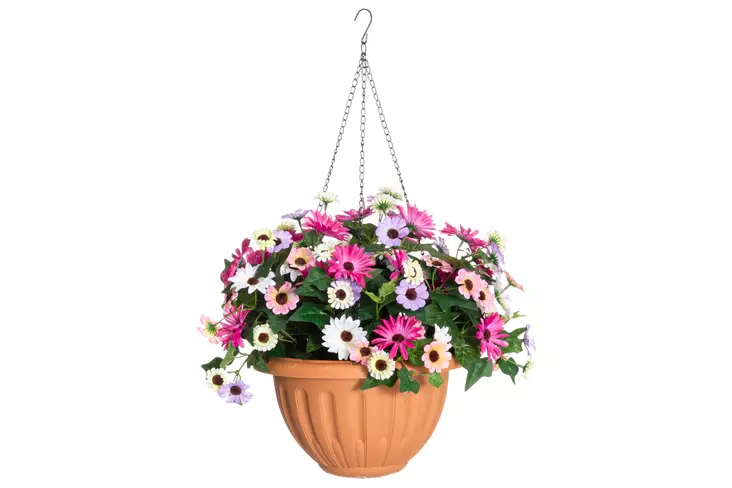 4Living Tähtisilmä amppelissa monivärinen - Tekokukat ja -kasvit - 6410416437149 - 1