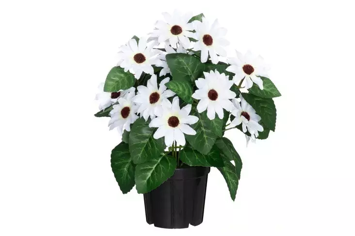 4Living Tähtisilmä ruukussa valkoinen - Tekokukat ja -kasvit - 6410416529769 - 1