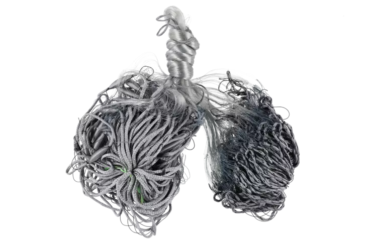 Apaja Kalaverkko ECO 50 mm 0,17 mm 1,8 m 30 m - Kalaverkot - 6410416239309 - 1